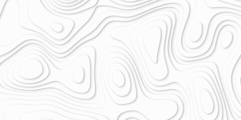Abstract luxury white modern 3d papercut background. Minimal abstract vector wave carve diamond topography line circle creative topography map circle and wave line smooth multilayer pattern. papercut.