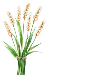 Fototapeta premium Wheat Sheaf with Natural Background Design