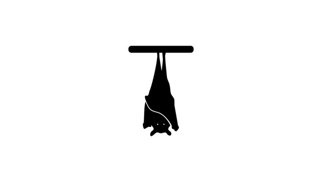 Sleeping bat , black isolated silhouette