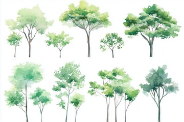 Fototapeta premium Set of watercolor green tree isolated on white background for landscape and architecture drawing, elements for environment and garden, botanical for section in spring 