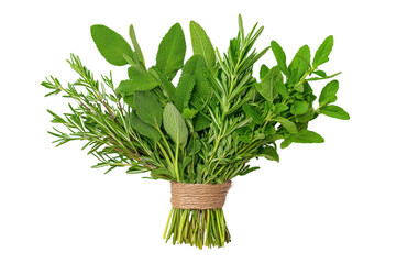 Fresh Herbs Arrangement with Twine Binding