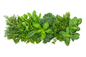 Fresh Green Herbs and Vegetables on White Background