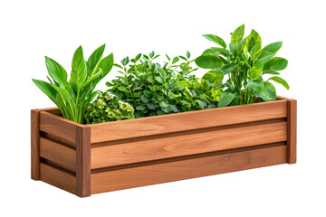 Wooden planter box with vibrant green plants