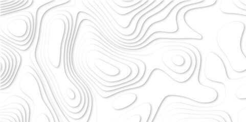 Abstract luxury white modern 3d papercut background. Minimal abstract vector wave carve diamond topography line circle creative topography map circle and wave line smooth multilayer pattern. papercut.