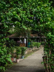 フィリピンのマニラで撮影した写真