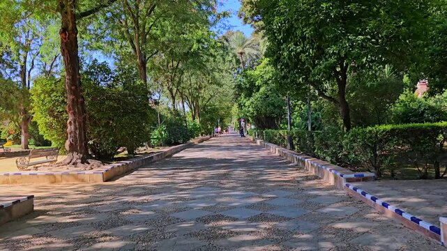 Malaga, Spain - August 3, 2024, Parque infantil platero, M&aacute;laga Park

