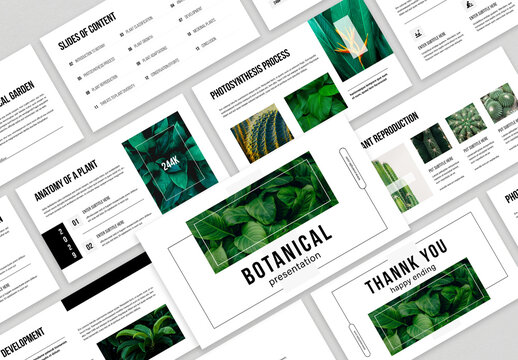 Botanical Presentation