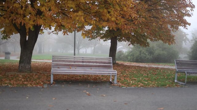A foggy early morning in an autumn park with empty benches under trees with orange and yellow leaves. A young woman runs in the background, likely hurrying to work, adding purpose to the serene scene.