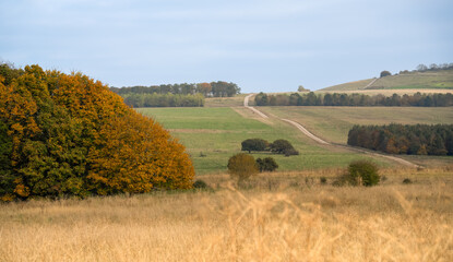 scenic landscape view of tump with open fields, meadows and several lines of woodland copse,  Tidworth, Wiltshire