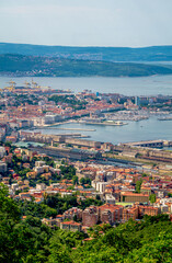 A vibrant city view from a hilltop, with trees enhancing the landscape