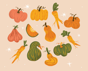 Thanksgiving Harvest Vegetables Collection with Pumpkins, Squash, and Root Vegetables in Hand-Drawn Style