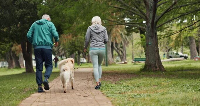 Couple, dog and walking in park with back, talking and love in morning with training by trees. Mature man, woman and pet animal with steps, labrador and exercise on path with wellness in England