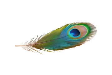 Explore the vibrant colors of a beautiful peacock feather isolated on white background © 1000lnw