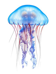 Explore the beauty of a bioluminescent jellyfish with flowing tentacles isolated on white background