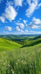 Fototapeta premium A breathtaking view of Pineville's green hills and vibrant blue skies filled with fluffy clouds during a sunny day