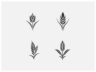 wheat plant logo set vector, vector and illustration,