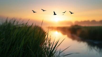 Fototapeta premium A serene sunrise over a tranquil waterway, with birds flying above lush green grass, creating a peaceful natural scene.