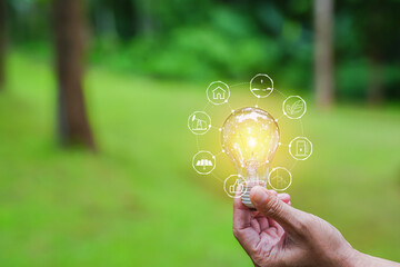 Light bulbs that grow, in the concept of energy in nature.
