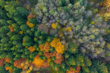 Naklejka premium Jesień w Dolinie Popradu Muszyna górski widok