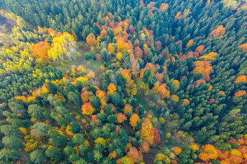 Jesień w Dolinie Popradu Muszyna górski widok