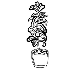 Flowerpot