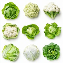 Fototapeta premium Fresh Green Cabbage and White Cauliflower: Healthy Vegetable Produce