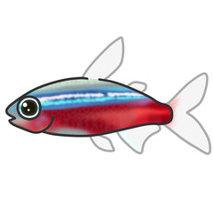 カージナルテトラという小さくカワイイ熱帯魚のイラスト