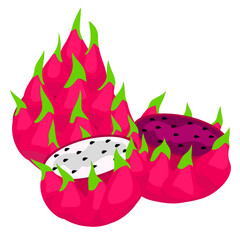 Dragon Fruit Illustration