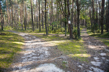Natural Parc in Poland