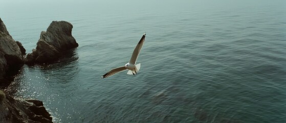 A solitary seagull soars above the expansive ocean, embodying freedom and grace against a backdrop of endless blue.