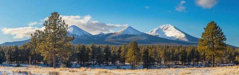 Breathtaking winter view of the San Francisco Peaks under a clear blue sky surrounded by evergreen forests