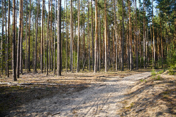Natural Parc in Poland