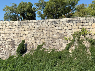 Ancient stone wall covered in green ivy with lush trees in the background under a clear blue sky