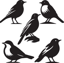 American Robin silhouette black and white sitting poses