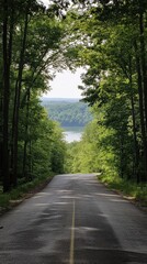 Naklejka premium A serene drive through lush green trees overlooking a tranquil lake on a sunny day
