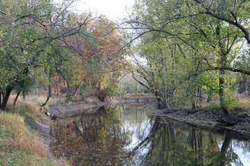 North Branch of the Chicago River in autumn at Linne Woods Forest Preserve in Morton Grove, Illinois