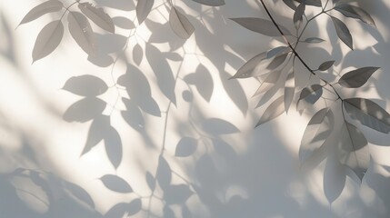 Blurred background of leaf shadows and light on a white wall