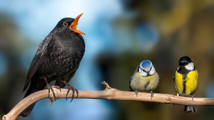 bird on a branch