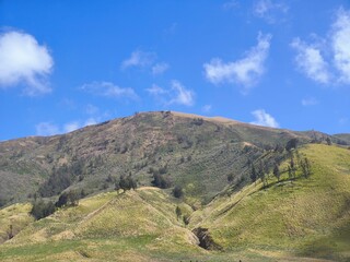 Naklejka premium Landscape of rolling hills with vibrant green grass under a blue sky
