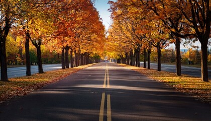 Obraz premium Autumn scenic asphalt road, with maple trees beside.