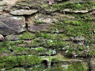 An old mossy stone wall