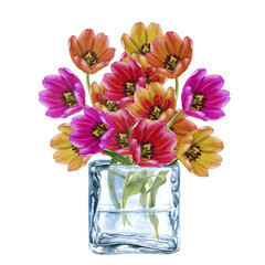 Bouquet of pink, orange, yellow tulips in a transparent glass vase. Watercolor flowers isolated on a white background for Mother's, Women's,Valentine's Day, Easter, spring holidays, birthday, weddings