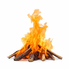 Campfire with Flames Isolated on White Background, Burning, Wood, Log, Bonfire, Wilderness