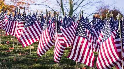 A field of American flags waves gently in the breeze on a crisp autumn day