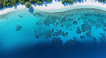 Obraz premium coral blue water in ocean, oceanic view, fantastic view of the ocean