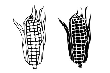 Line sketch, stamp, silhouette of vegetables corn. Vector graphics.
