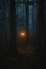 A Single Lantern Illuminates a Dark and Foggy Forest Path