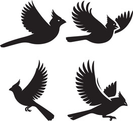 Northern cardinal flying poses