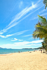 
Nha Trang Beach Vietnam . Overlooking the beautiful coast of Nha Trang with palm trees on the beach. Beautiful white sand tropical beach in the coastal city on the Shores of the South China Sea, Viet