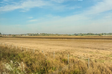 Obraz premium Agricultural fields with young green shoots of grain crops and plowed field without sowing. With trees in the background on the hills. Fallow concept. Alternation.
